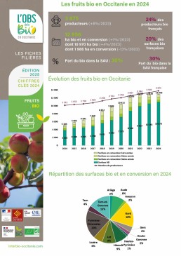 Fiche-Fruits24 1 Fiche-Fruits24 1