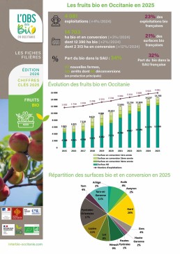 Fiche-Fruits25 12