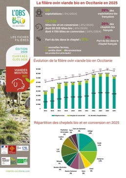 Fiche-Viande-ovin25 16