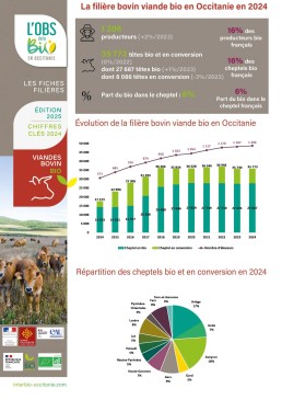 Fiche-Viande-Vache24 1 Fiche-Viande-Vache24 1