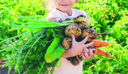 Suivez en direct la conférence de presse de l'Agence Bio ! 11 Suivez en direct la conférence de presse de l'Agence Bio ! 11