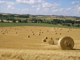 Retrouvez de nouvelles infos et de nouveaux chiffres clés sur les filières bio en Occitanie ! 4 Retrouvez de nouvelles infos et de nouveaux chiffres clés sur les filières bio en Occitanie ! 4