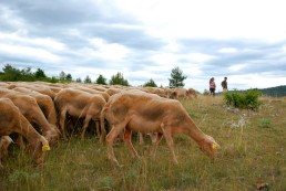 Les chiffres clés de la bio de 2021 sont arrivés ! 4 Les chiffres clés de la bio de 2021 sont arrivés ! 4