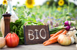 Les RDV Professionnels - légumes Bio d'Occitanie 2
