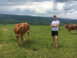 Marché bio, EGALIM 2 et Viande biologique : quels changements pour la filière bovine ? 4