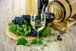 La fiche filière Viticulture bio d'Occitanie est en ligne ! 8