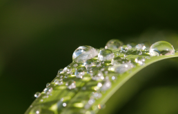 Forum Eau & Agricultures - 18/11/2021 15