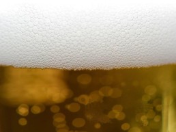 Flash de la bio- Février : les brasseries bio d'Occitanie 24 Flash de la bio- Février : les brasseries bio d'Occitanie 24