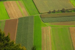 Retrouvez les informations sur les volumes et marchés des filières bio 12 Retrouvez les informations sur les volumes et marchés des filières bio 12