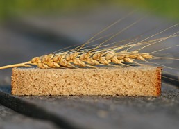 Synthèse de l'étude de la filière blé farine pain bio en Occitanie 11