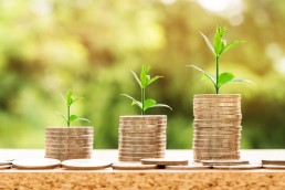 Webinaire / Financement de vos projets - Volet aides publiques 1