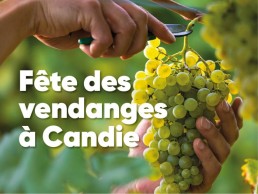RDV à la Fête des Vendanges au Domaine de Candie le dimanche 7 septembre 13 RDV à la Fête des Vendanges au Domaine de Candie le dimanche 7 septembre 13