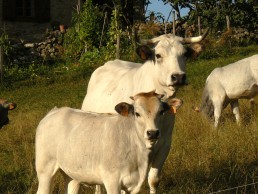 Interbio Occitanie aux Pyrénéennes les 19 et 20 septembre 4