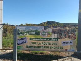 IMG20241005153930 1