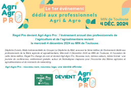 Sans titre 1