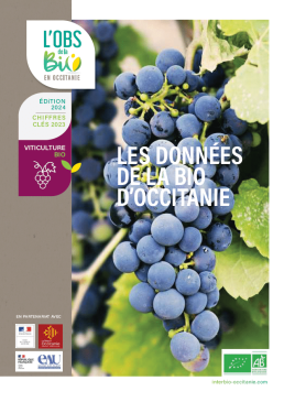 Fiche_viti 1