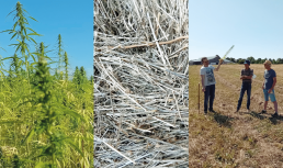 Comment diversifier son assolement avec le chanvre Bio industriel ? 16