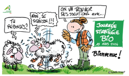"Agir pour rebondir" : une journée dynamique dans le Tarn 2