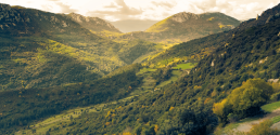 Ambitions pour l'agriculture biologique en Occitanie 15