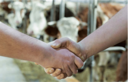 Agribiolien, une plateforme d'échanges directs entre agriculteurs bio 3 Agribiolien, une plateforme d'échanges directs entre agriculteurs bio 3
