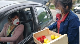 COVID-19 - Des initiatives pour aider les agriculteurs face à l'arrêt de certains débouchés lors du confinement 16