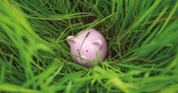 Bio&Pro - Les conférences du Forum des investisseur du 8 avril 14