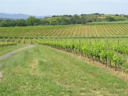 Gestion du Bio dans les Chais Mixtes 2