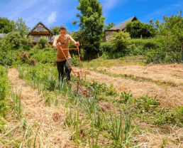 Les producteurs Bio s'adaptent à la crise 1