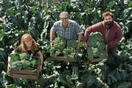 Fruits & Légumes BIO en Occitanie - Une filière en pleine expansion 5