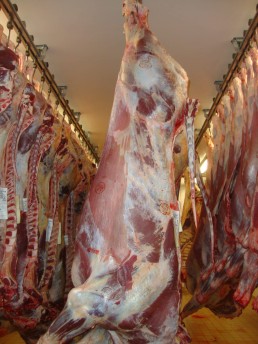 Le point sur les contaminations microbiologiques des viandes bovines en abattoir 10