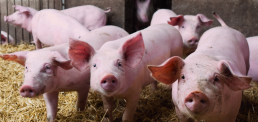Dernières évolutions réglementaires en AB 11