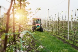 L’arboriculture fruitière à l'honneur du 1er RDV Tech&Bio en Occitanie 4