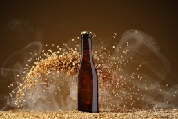Filière brassicole bio d'Occitanie : point d'étape 10