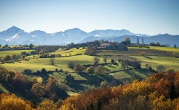 Chiffres clés de l'agriculture biologique en Occitanie en 2023 1