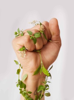 Vulnérabilités et résiliences agricoles post COVID 19 en Occitanie : enseignements du projet Satro (2021/2022) 2