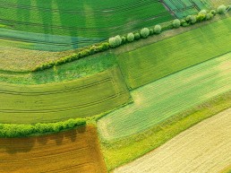 Informations réglementaires AB et nouveautés du côté de l'INAO 4