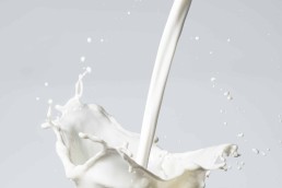 Filière bovin lait : les démarches "Bio+" dans un contexte économique national perturbé 7
