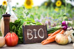 Gagner en rentabilité et simplifier son quotidien sur une ferme en maraîchage biologique : Recueil d’initiatives en Occitanie 7