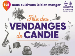 Sans titre 2