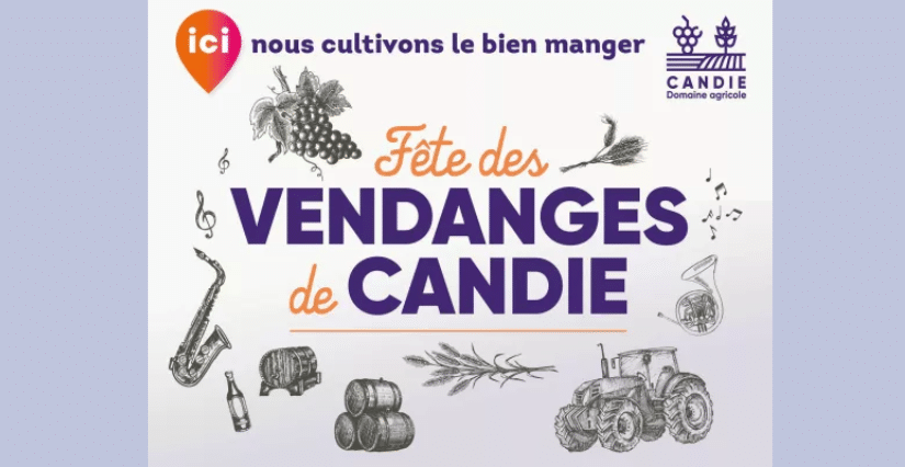 Fête des Vendanges au Domaine de Candie 1