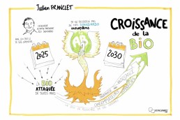 Julien_Franclet 39 Julien_Franclet 39