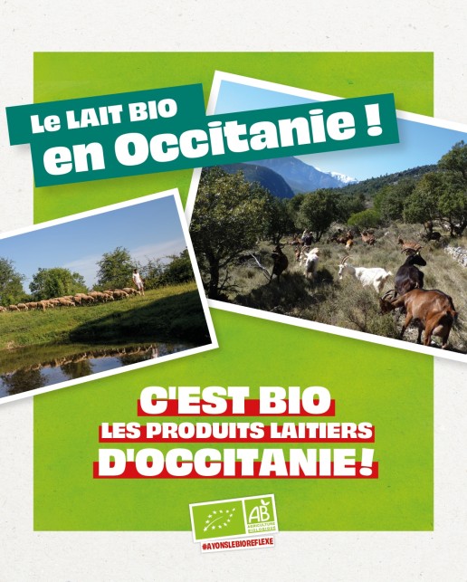 CARROUSEL LAIT-OCCITANIE-4-5 22 CARROUSEL LAIT-OCCITANIE-4-5 22