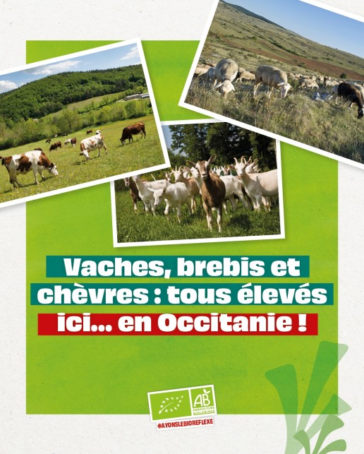 CARROUSEL LAIT-OCCITANIE-4-52 23 CARROUSEL LAIT-OCCITANIE-4-52 23