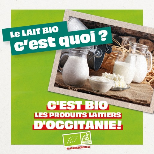CARROUSEL LAIT 15 CARROUSEL LAIT 15