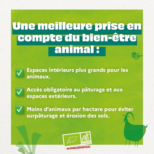 CARROUSEL LAIT4 18 CARROUSEL LAIT4 18