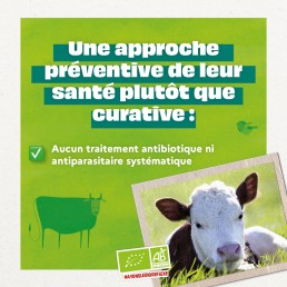 CARROUSEL LAIT5 19 CARROUSEL LAIT5 19