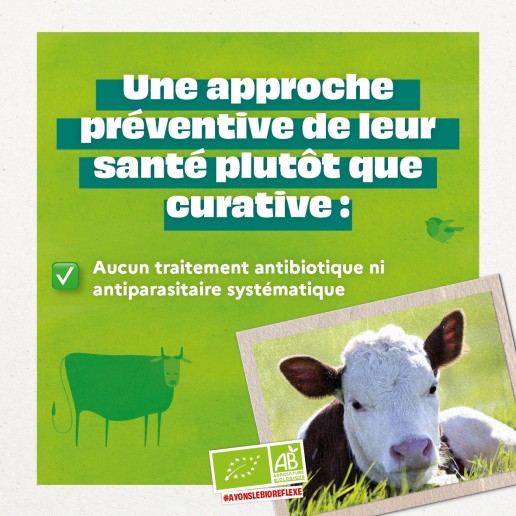 CARROUSEL LAIT5 19 CARROUSEL LAIT5 19