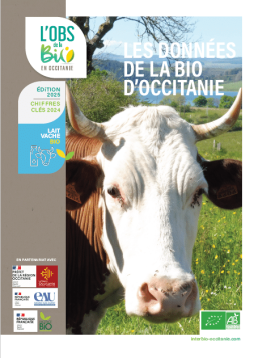 bovin lait 1