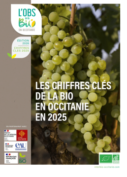 Sans titre 1