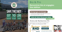 Save the date-01 1 Save the date-01 1